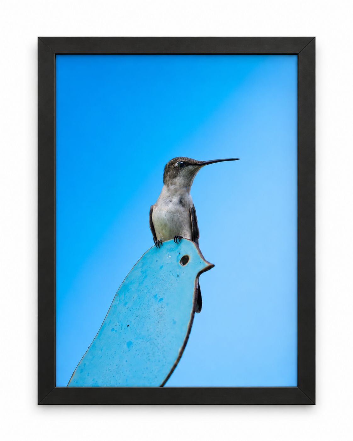 4×6" Photograph Print